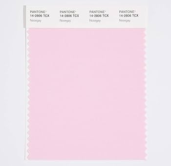 【Kiji】PANTONE FASHION+  Amazon.com: Pantone Cotton Swatch Card Color Standard, Color